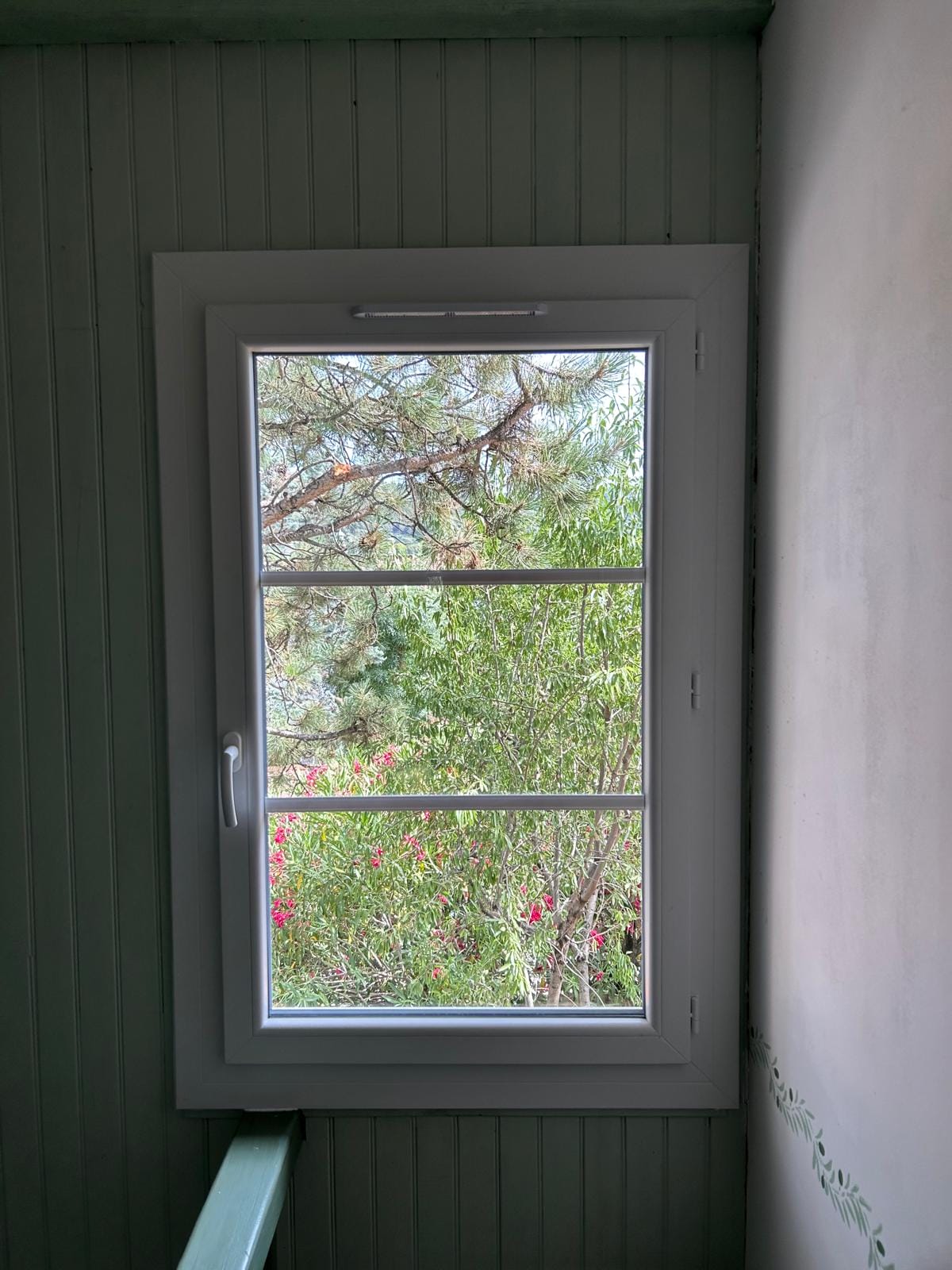 WhatsApp-Image-2025-06-10-a-16.07.24_61aca282