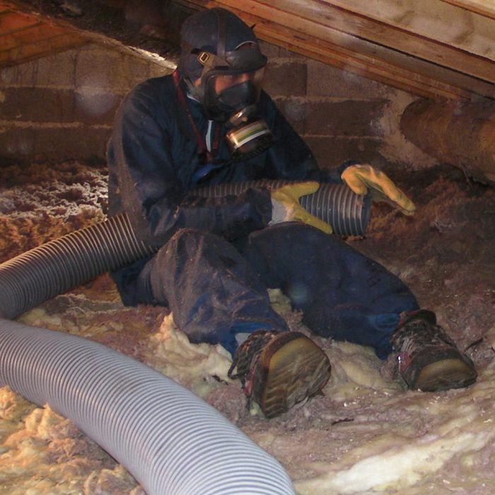 isolation rampant bvtech